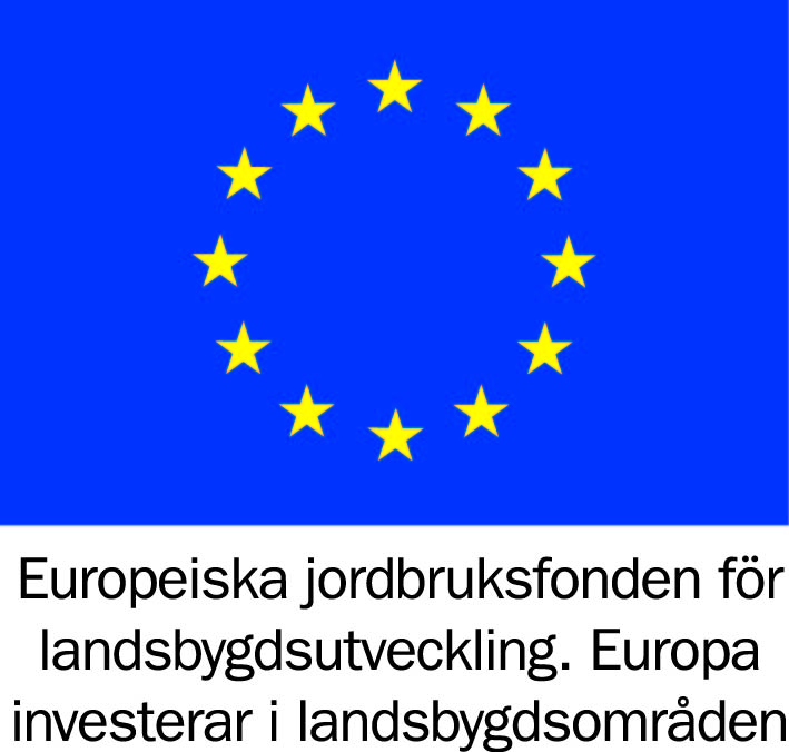 EU logo